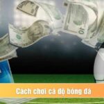Cách chơi cá độ bóng đá