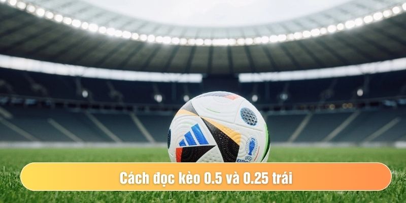 Cách đánh tài xỉu đá banh