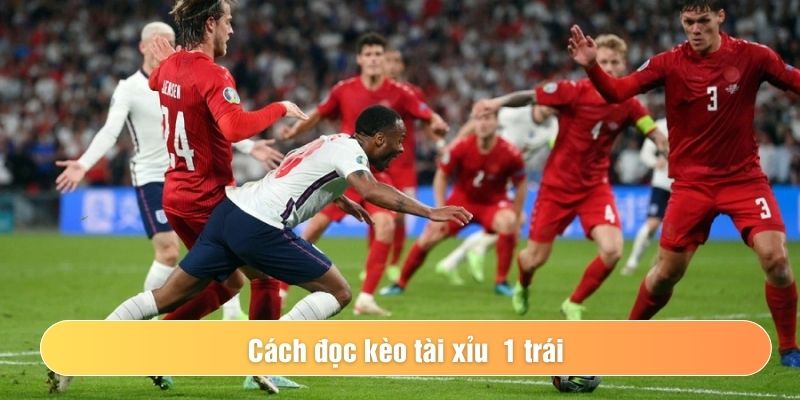 Tài 1 là gì