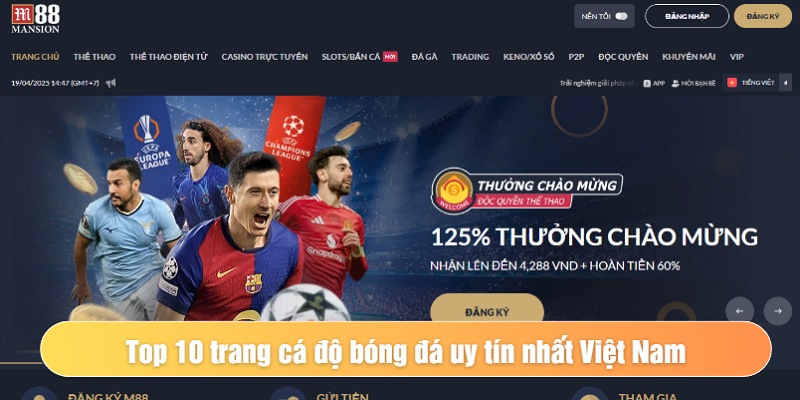 Trang cá độ bóng đá