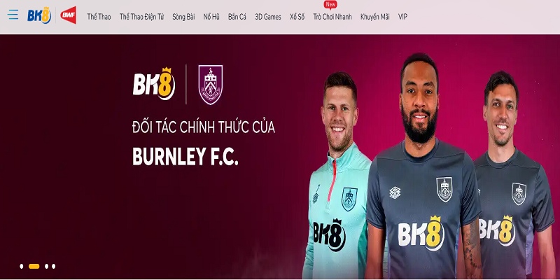 Web cá độ bóng đá